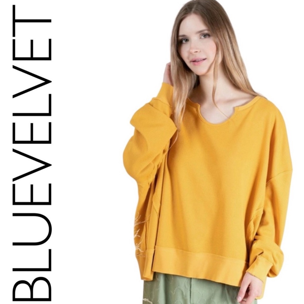 713:  BLUEVELVET NWT SWEATSHIRT